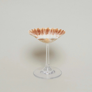 Copas de Vino Personalizadas con Conchas Marinas, Regalos de Boda, Regalos de Aniversario, Copas para Fiestas, Copas de Martini Hechas a Mano con Conchas Marinas, Regalo para Enamorados - Product Image 6