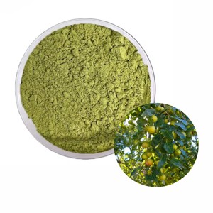 Polvo de Hojas de Sidr de Calidad Premium OEM para Cabello y Piel, Polvo Herbal 100% Puro para la Limpieza Natural del Cabello, Brillo y Salud del Cuero Cabelludo - Product Image 2