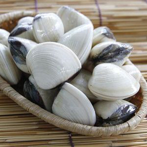 Carne de almeja blanca congelada lista para usar, ingrediente para procesamiento de alimentos y catering - Product Image 3