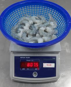 กุ้งแวนนาไมเกรดส่งออก แบบดิบ ไม่มีหาง แช่แข็งแบบ IQF อาหารทะเลพรีเมียม - Product Image 2