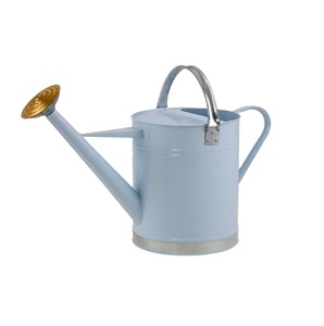 Trendy Galvanized Finished Metal Water <b>Cane</b> Iron Flower Holders for Home & <b>Garden</b> Plants Durable Watering Can Handmade - Product Image 3