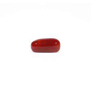 Natural Red Coral Oval Cabochon Loose Gemstone 4.67 Carat Certified Wholesale - Product Image 3