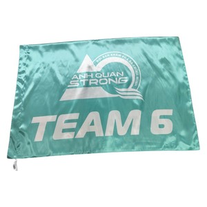 Drapeau rectangulaire personnalisé en polyester avec emblème harpe, mât en acrylique, imprimé numériquement pour activités promotionnelles et utilisation en extérieur - Product Image 5
