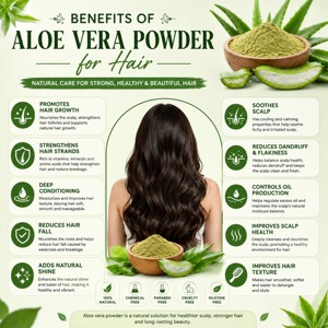 Approvisionnement en gros de poudre d'aloe vera déshydratée 100% pure, poudre d'aloe vera de qualité cosmétique supérieure pour les soins de la peau et des cheveux - Product Image 3