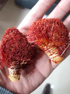 Safran de qualité supérieure, très aromatique, avec des stigmates longs de couleur rouge cramoisie foncé et des fleurs jaunes/orangées – un Croyau de Vie économique - Product Image 4