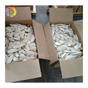 Hueso de Sepia Natural Premium para Alimentación Animal, Comida para Mascotas, Comida para Aves, Alimento para Acuicultura, Venta al Por Mayor, Proveedor de Vietnam - Product Image 3