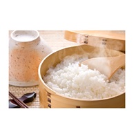 Fournisseur en gros de riz instantané de qualité supérieure, texture et arôme originaux, en vrac, 1 kg, pour importateurs