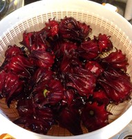 Fleurs d'hibiscus séchées de qualité supérieure du Vietnam, en vrac, pour le thé, les boissons, qualité alimentaire, qualité export - Mme Tarina