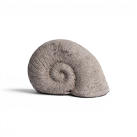 Sculpture d'ammonite en argile terracotta, style ferme nordique minimaliste, artisanale, pièce d'art décorative moderne pour table