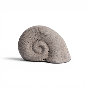 Escultura de Amonita de Arcilla Terracota Minimalista Estilo Nórdico, Pieza de Arte Decorativa de Piedra Moderna para Mesa - Product Image 1