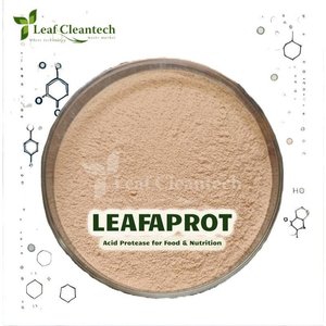 Protéase acide Enzyme alimentaire Applications nutritionnelles Fabricant d'enzymes pures de haute qualité Digestion des protéines | Enzyme protéolytique - Product Image 1