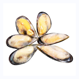 Buena Oferta: Carne de mejillones azules frescos congelados, mariscos de alta calidad con conchas - Product Image 1