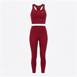 Conjunto de Yoga Rojo de 2 Piezas, Top Corto Deportivo, Leggings de Cintura Alta, Ropa Deportiva sin Costuras, Ropa Deportiva para Mujer - Product Image 1