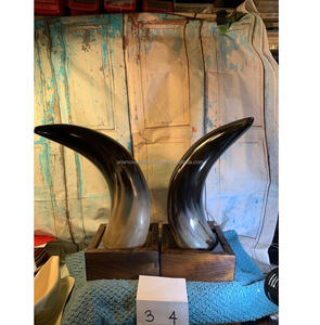 Par decorativo Premium de cuerno de búfalo/buey para sala de exposición y exhibición de arte de galería - Product Image 3