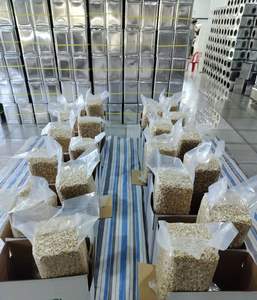 Best Offer Vietnam Cashew <b>Nuts</b> <b>Kernel</b> Premium Quality Full Certifications Carefully Selected Private Labeling Free Sample - Product Image 4