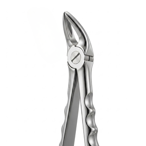 Pinzas de Extracción con Mango Adaptador |   Instrumentos Dentales Vitra de Acero Inoxidable de Primera Calidad - Product Image 2