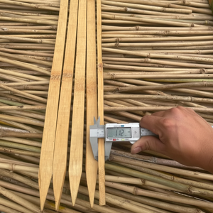Estaca de Bambú de Alta Calidad de 1m de Longitud para Soporte de Plantas, Agricultura y Jardinería, Material Natural Duradero - Product Image 4