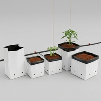 Sac de culture en cocofibre organique à faible teneur en EC, plaque de coco compressée pour la culture hydroponique de tomates et de fraises en serre, exportation