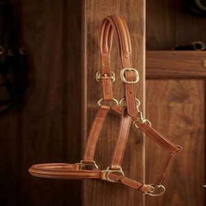 Longe de cheval robuste en cuir noir et marron, rembourrée et souple, avec ferrures en laiton, et embout de nez rembourré - Product Image 4