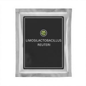Polvo Probiótico Limosilactobacillus Reuteri de la Marca IGC, Hecho en Maharashtra - Product Image 1