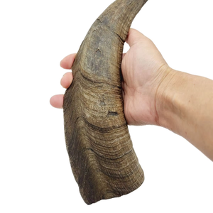 Top Dog Chews, Golosinas Comestibles de Cuerno de Búfalo con Alto Contenido de Proteínas y Sabor a Carne de Res, Provenientes de la India, Empacadas en Bolsa - Product Image 1