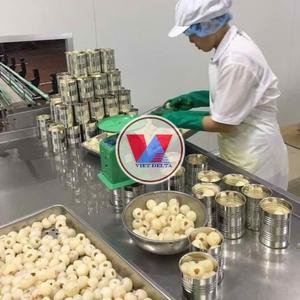 Litchis frais dénoyautés en conserve du Vietnam, 24 boîtes par carton, qualité standard et export - Product Image 2