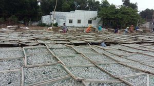 Anchois séchés en vrac pour l'alimentation animale et l'industrie alimentaire - Fournisseur - Product Image 2