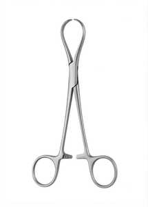 Pince à serviette Jackson en acier inoxydable, forceps chirurgical pour hémostase, instrument manuel certifié CE Classe I - Product Image 2