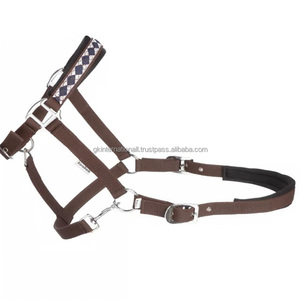 Licol pour cheval en nylon durable de haute qualité personnalisable, style selle anglaise, broderie fantaisie multicolore, boucles en laiton pour cheval - Product Image 1