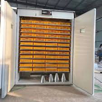 Incubateur à œufs Yingbo IN2509 de type nouveau, écran LED, contrôle automatique de la température, acier inoxydable 304, 200 kg, 1 an de garantie
