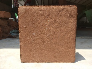 Bloque de Turba de Coco de Primera Calidad al por Mayor, 5 kg, Ideal como Medio de Cultivo |   Fabricante y Exportador de la India |   GEEWIN EXIM - Product Image 6