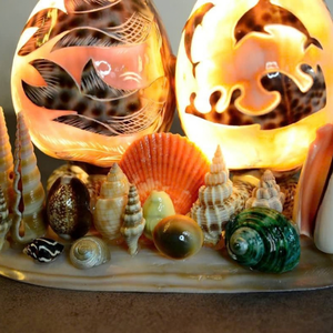 Lámpara de Noche Artesanal de Conchas Marinas, Origen Vietnam, para una Atmósfera Acogedora y Conjuntos de Regalo Creativos, 99 Gold Data - Product Image 5