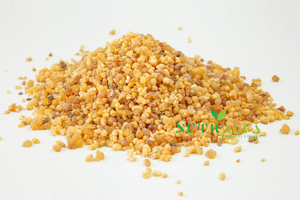 Goma de Olíbano Premium, Resina de Boswellia Carterii, Tamaño Pea, Frankincienso - Product Image 2