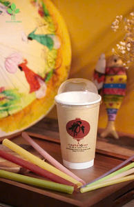 Pajitas de Arroz Ecológicas, Pajitas Biodegradables Naturales para Cafeterías, Restaurantes, Tiendas de Té de Burbujas y Cadenas de Bebidas - Product Image 6