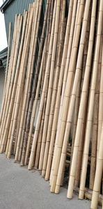 Poteaux décoratifs en bambou pour l'intérieur et le jardin Clôture naturelle et matériel artisanal de BLUE LOTUS Vietnam - Product Image 5