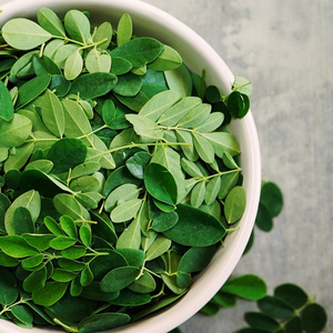 Poudre de feuilles de Moringa lyophilisée en gros au meilleur prix - Product Image 3