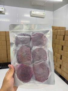 Soft Dried Dragon Fruits Wholesale <b>Chewy</b> Dragon Fruit Chunks & Pitahaya | Natural Sweetness | 99 Gold Data Supply - Product Image 6
