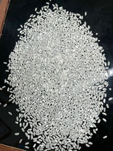 Riz Calrose à grains moyens, riz égyptien Camolino, 5% de brisures, meilleure récolte, texture douce, WA 0084393250278 - Product Image 5