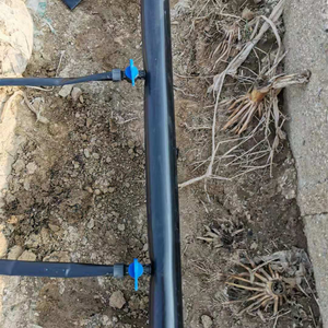 Manguera de goteo de 5/8 "con emisores de 0,8 LPH Espaciado de 20cm Uso en guardería - Product Image 6