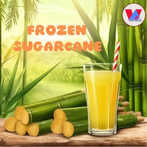 Jus de canne à sucre stérilisé congelé extrait du Vietnam pur jus congelé de canne à sucre en sachet saveur sucrée - Product Image 2