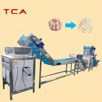 Machine automatique de poudre d'ail TCA 200-500 kg/h ligne de production d'épluchage d'ail de Type chaîne électrique commerciale de productivité élevée