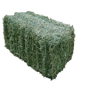 Heno de Alfalfa Seco Premium Enfardado para Alimentación de Ganado con Hojas Verdes Limpias, Empaque a Granel para Exportación para Compradores Agrícolas Mayoristas - Product Image 5