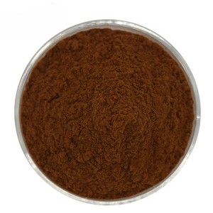 <b>Best</b> Selling 100% Natural Cocoa Powder Pure Food Grade Cocoa Powder for Smoothies Cake and Beverages Bulk Supplier from India - Product Image 1