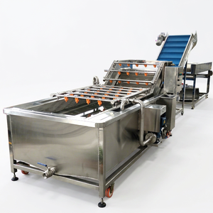 Palm Dates Machine Dates Washer Dry Fresh Dates for Food Shop & Restaurants Industrial Jujube Washing Cleaning Machine - Product Image 1