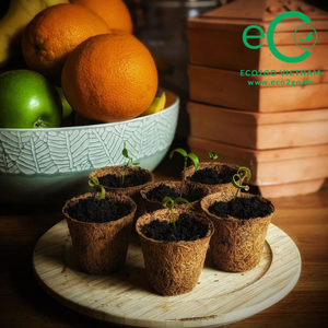 Macetas Ecológicas de Fibra de Coco con Orificio de Drenaje, Ligeras y Duraderas para Jardín e Interiores - Product Image 6