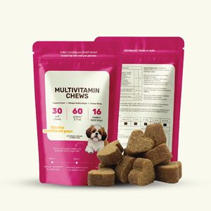 Natural Multivitamin Soft Chews for Dogs with Salmon Oil and Lecithin Easy to Chew <b>Digestible</b> Pet Supplement OEM Bulk Supply - Product Image 3