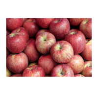 Verse Appels Premium Zoete Knapperige Sappige Appels voor Groothandel, Levensmiddelenhandel en Voedingsmiddelenmarkt