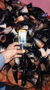 SANIYA HANDICRAFT Cuerno para beber pulido Pequeño negro Agua blanca Búfalo vikingo Aproximadamente 5 a 8 pulgadas de longitud 2 pulgadas de ancho Boca - Product Image 2