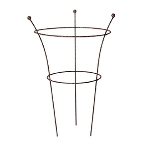 Support de plante en fer forgé tendance, thermolaqué, facile à assembler pour plantes grimpantes, taille et forme personnalisables - Product Image 5