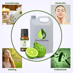 Hidrosol de Citrus Bergamia 100% Puro y Natural (Cáscara de Bergamota), Fabricante OEM/ODM, Logotipo Personalizado, Venta al Por Mayor, Agua Floral de Bergamota - Product Image 2